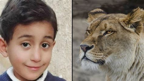 Palestinian boy mauled to death by lion in private Gaza zoo