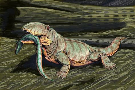 Triassic Period - Climate, Extinction, Reptiles: Worldwide climatic conditions during the Triassic seem to have been much more homogeneous than at present. ... The boundary between the Paleozoic and Mesozoic eras was marked by the Earth’s third and largest mass extinction episode, which occurred immediately prior to the Triassic.. 