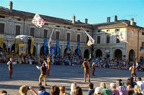 Palio Di Isola Dovarese - Hlavní stránka