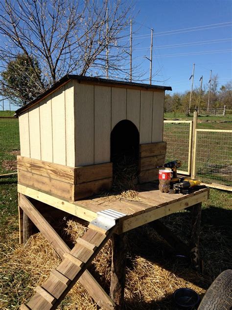 Pallet Goat House: benefit & Best 10 Ideas - BEST OF FARMING