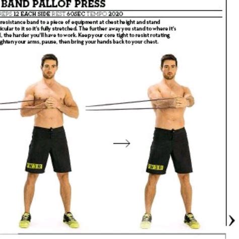 Pallof press with band. Chest, shoulders, and triceps: (“push” muscles): your chest press and pallof press will engage your push muscles. Back, biceps, and grip ( “pull” muscles): all of the band rows will train your back and biceps. Core (abdominals and lower back): The pallof press is really going to challenge your core (try it if you don’t believe me). 