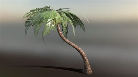 Palm 3D models - Sketchfab