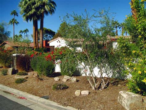 Palm Desert Landscaping Services - Bermuda Dunes …