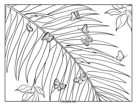 Palm Fronds Coloring Pages Coloring Pages