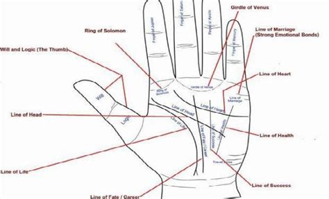 Palm Reading Career Line
