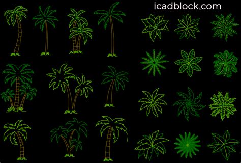 Palm Tree CAD Block collection in DWG iCADBLOCK