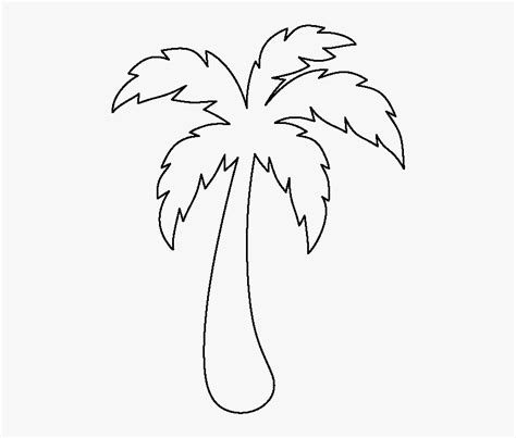 Palm Tree Outline Drawing