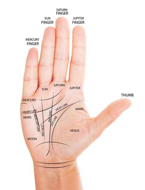 Palm eeading. Hand shape palm reading. Palmistry books defined different hand shape. It is difficult to find people with the exact shape as described / defined in palm reading books. The palmistry books are … 
