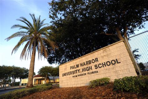 Palm harbor university. 1900 Omaha St., Palm Harbor, FL 34683-3546. Phone (727) 669-1131. Fax (727) 725-7936 . facebook twitter youtube instagram pinterest linked in flickr vimeo. Site Map Back to Top. Site Map Back to Top. You can add a copyright statement or legal disclaimer in this area if necessary. Questions or Feedback? | 