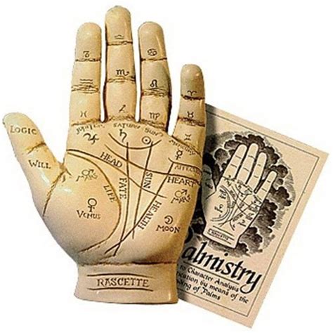 Palm readers. Synonyms for palm reader include fortune-teller, seer, prophet, soothsayer, diviner, augur, clairvoyant, prognosticator, oracle and prophesier. Find more similar ... 