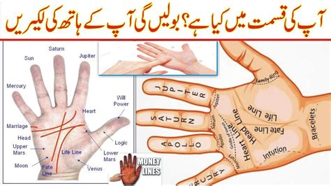 Palm reading in urdu