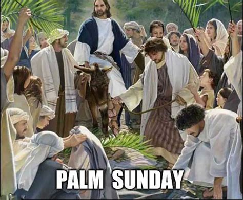 Palm sunday memes. Easter. This collection celebrates the Resurrection of Christ and includes images of the Last Supper, Palm Sunday, the Savior’s captivity, the Crucifixion, angels rolling away the stone of the sepulcher, the empty tomb, Mary beholding the risen Lord, and Jesus’s ministry to people in the Americas. Grid View. 