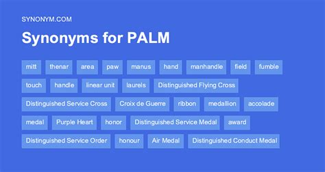 Palm synonym