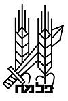 Palmach – Wikipedia