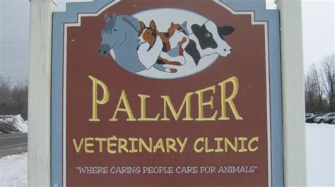 Palmer vet. Things To Know About Palmer vet. 