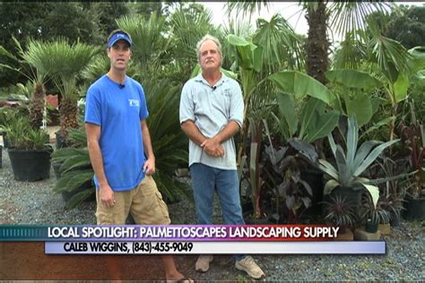 Palmettoscapes Landscape Supply - local.yahoo.com