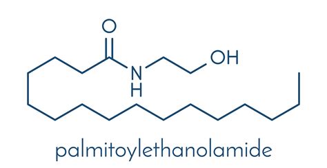 Palmitoylethanolamide nedir