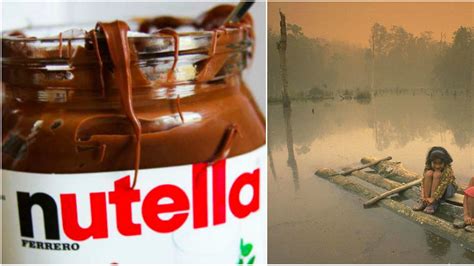 Palmolja nutella