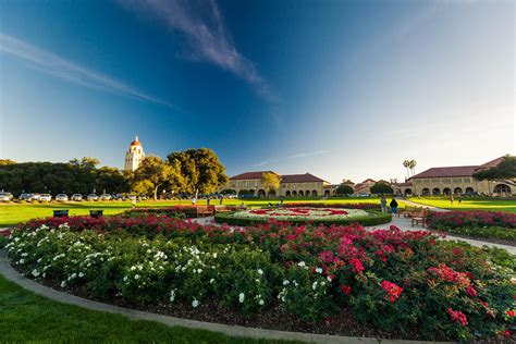 Palo alto university california. Things To Know About Palo alto university california. 