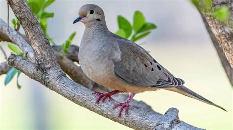 💦 Paloma Moreeno Leaks XXX