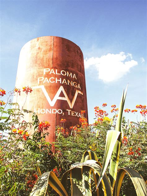 Paloma pachanga. The third annual dove hunt at Paloma Pachanga is set to start Oct. 2, which raised more than $100,000 last year. Its campaign helps raise money to provide educational opportunities for youth. This ... 