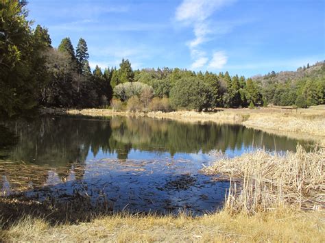 Palomar mountain state park. Things To Know About Palomar mountain state park. 
