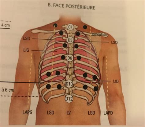 Palpation - RnCeus.com