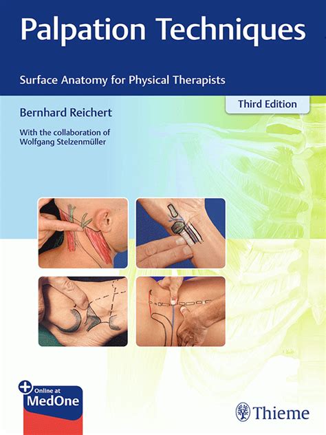Palpation techniques surface anatomy for physical therapists. - The handbook of english pronunciation by marnie reed.