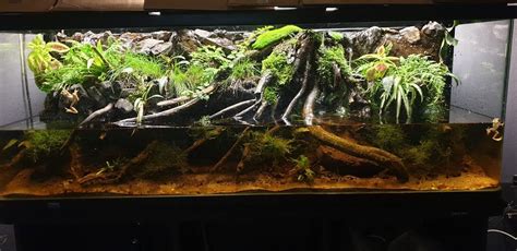 Paludarium plumbing. .  <a href=https://admin-demos.7steps.ai/assets/images/0cq3hk...