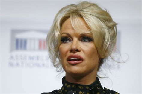 Pamela anderson pornhub. Things To Know About Pamela anderson pornhub. 