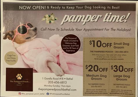 Pampered Pooch Pet Care in Bethel, CT with Reviews - Yellow Pages