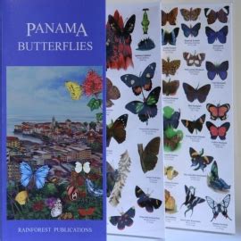 Full Download Panama Butterflies By Rainforest Publications