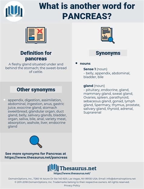 Pancreatitis Synonyms & Antonyms Synonyms.com