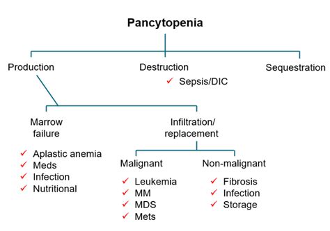 Pancytopenia - Definition, Causes, Symptoms, …