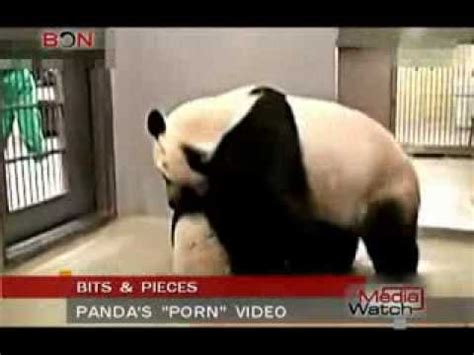 Panda porn movies. Things To Know About Panda porn movies. 