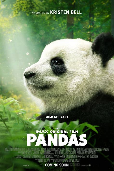 Join narrator Kristen Bell in Pandas, the heartwarming journey of Qian Qian, an adorable captive-born giant panda cub who is destined for life in the wild. . Pandamoviea