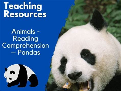 Pandas Teaching Resources