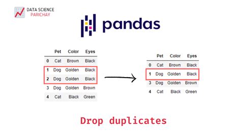 Pandas drop duplicates by column. .  <a href=https://dmcf.me/assets/images...