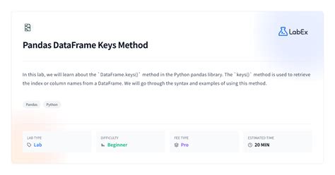 Pandas primary key. keys() [source] # Get the ‘info axis’ (see Indexing for ...