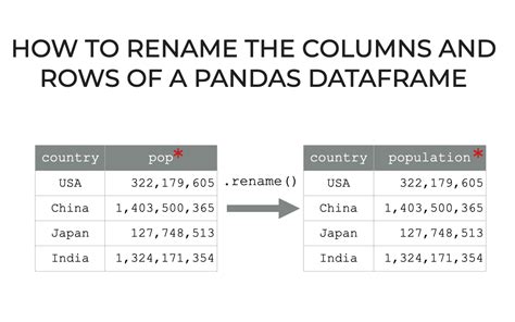 Pandas rename specific columns and change dtype