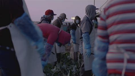 Pandemic's Hidden Toll: Why First & Second Graders Are Falling Behind in Reading (2026)