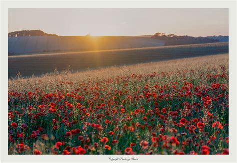 Pandoozy Leaks XxX 🍌 239 Videos