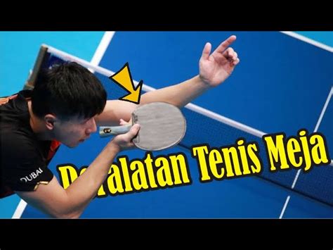 Panduan Definitif Karet Bet Tenis Meja DONIC: Tingkatkan Permainan Anda