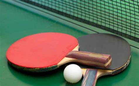 Panduan Utama Cara Memilih Karet Bet Tenis Meja yang Tepat untuk Permainan Unggul