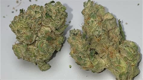 Mendocino Purps, also called Mendo Purps or The Purps, is an indica-