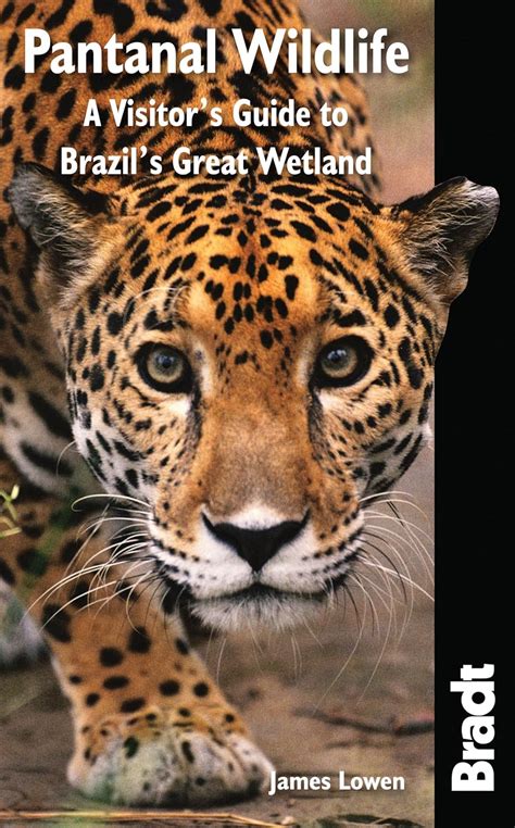 Pantanal wildlife a visitors guide to brazils great wetland bradt wildlife guides. - Polaroid sx 70 land camera manual.