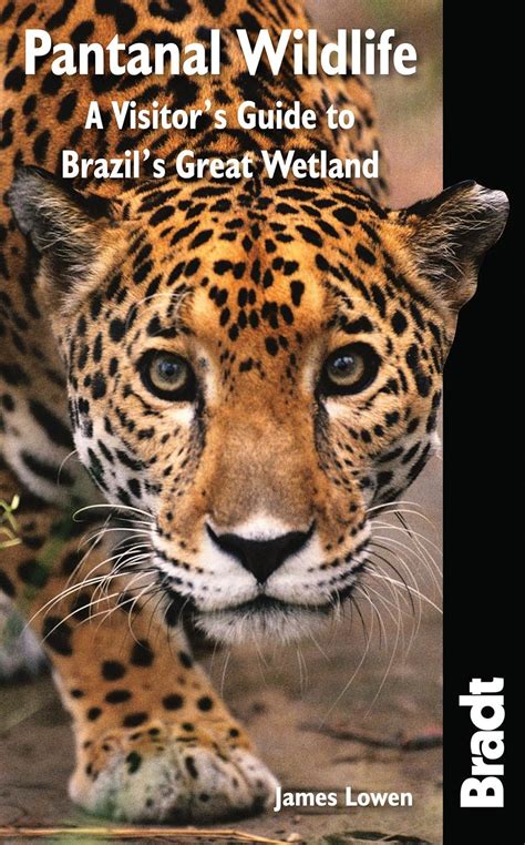 Read Online Pantanal Wildlife A Visitors Guide To Brazils Great Wetland By James Lowen