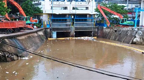 Amankah mencerahkan kulit ketiak gelap dengan minyak kayu putih