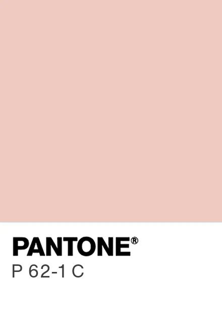 Pantone / PMS P 62-1 C / #efc9c0 Hex Color Code