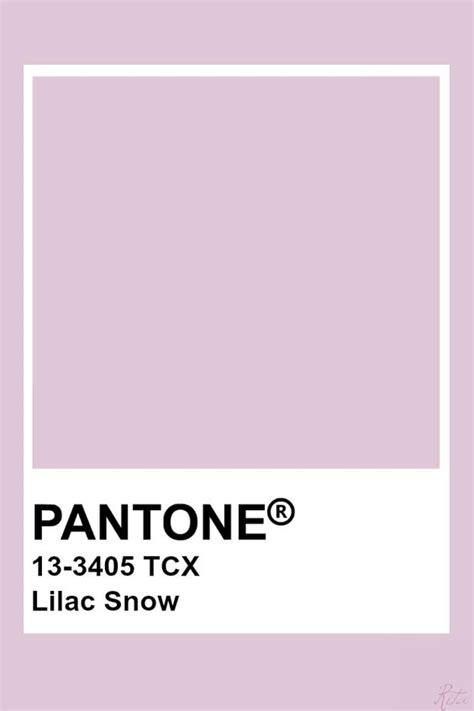 Pantone 13-3405 Tpx Lilac Snow Color #E3CADE - iColorpalette